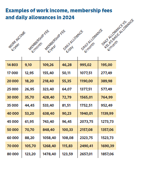 Examples of work income, membership fees and daily allowances in 2024